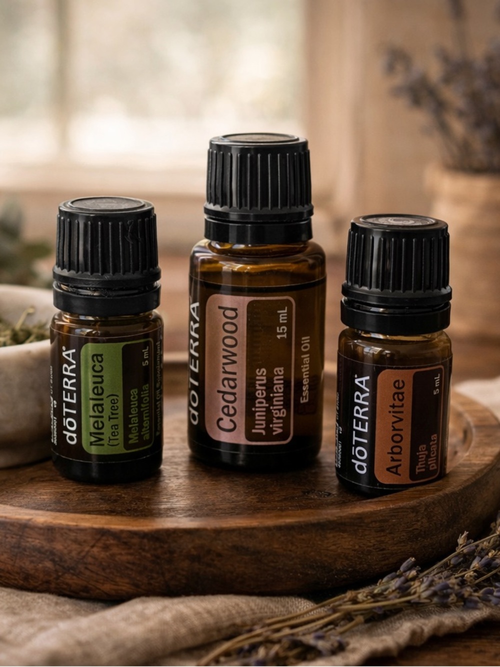 doTERRA Essential Oil Trio Bundle | Melaleuca Tea Tree, Cedarwood, Arborvitae